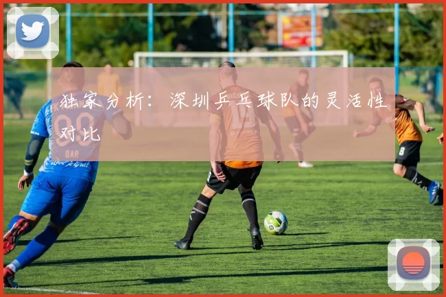 独家分析：深圳乒乓球队的灵活性对比