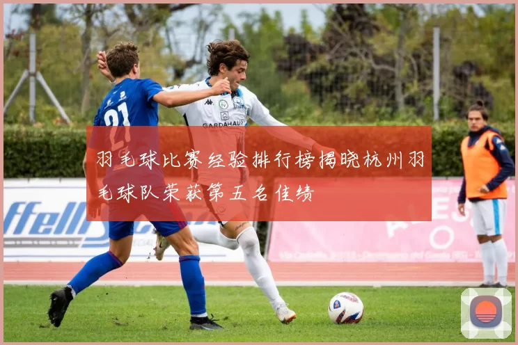 羽毛球比赛经验排行榜揭晓杭州羽毛球队荣获第五名佳绩