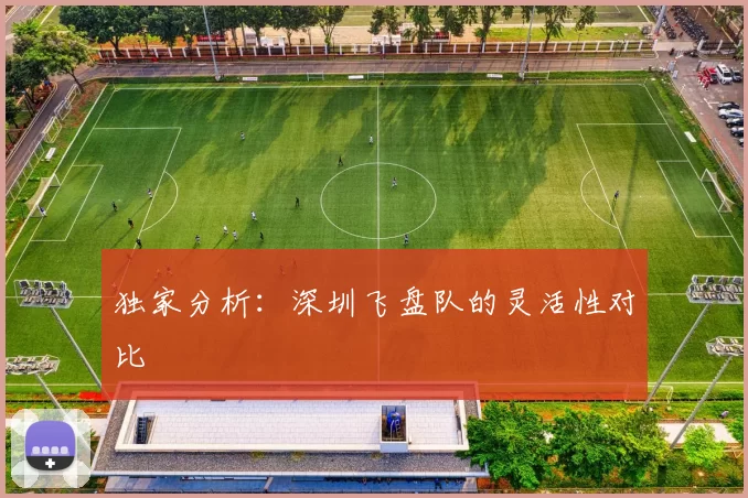 独家分析：深圳飞盘队的灵活性对比