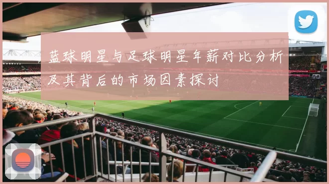 蓝球明星与足球明星年薪对比分析及其背后的市场因素探讨