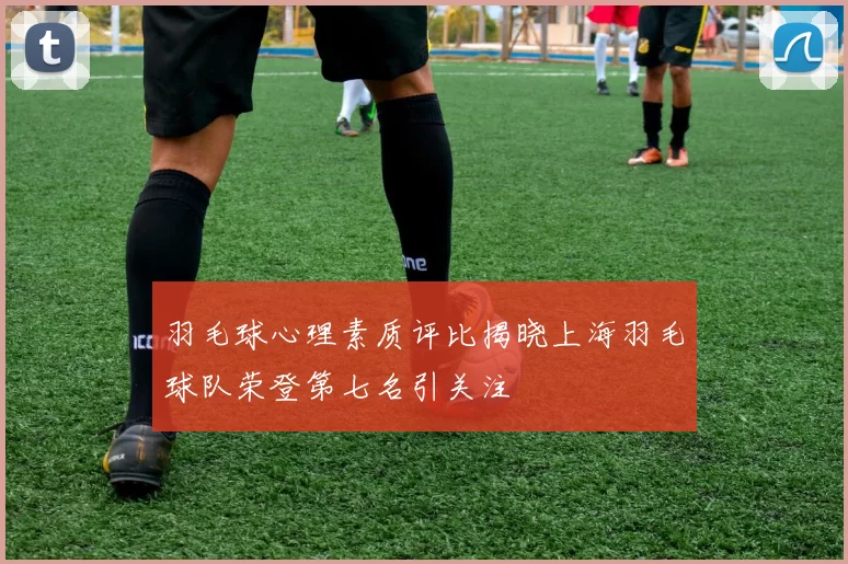 羽毛球心理素质评比揭晓上海羽毛球队荣登第七名引关注