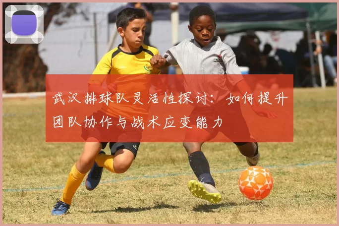 武汉排球队灵活性探讨：如何提升团队协作与战术应变能力